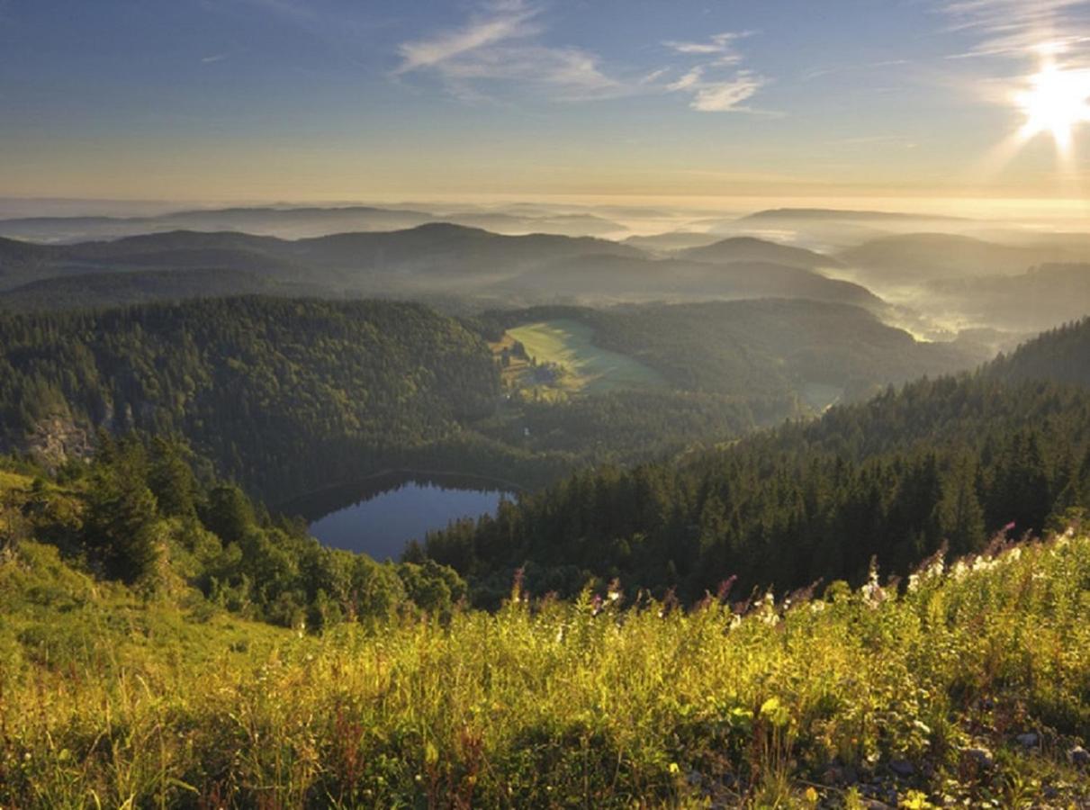 Ferienwohnung Zwischen Rhein Und Schwarzwald Bischweier Buitenkant foto